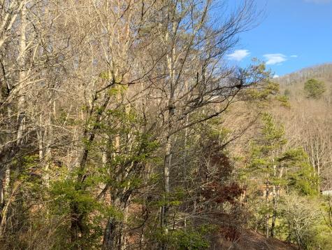 Lot 10 Ivy Log Road Murphy NC 28906