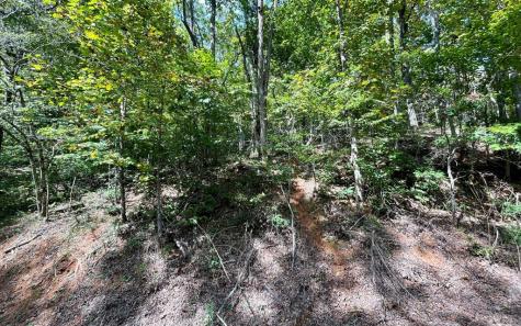 Lot 31 Nelson Ridge Hayesville NC 28904