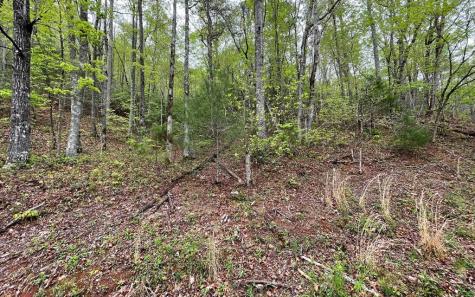 Lot 31 Nelson Ridge Hayesville NC 28904
