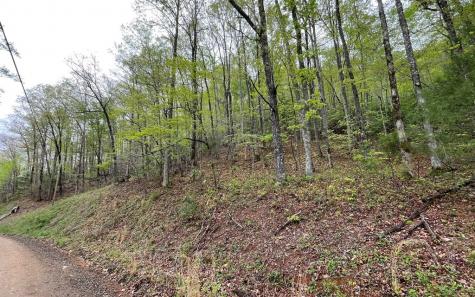 Lot 31 Nelson Ridge Hayesville NC 28904