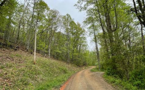 Lot 31 Nelson Ridge Hayesville NC 28904