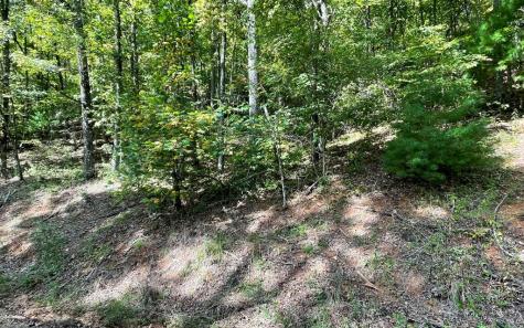 Lot 31 Nelson Ridge Hayesville NC 28904