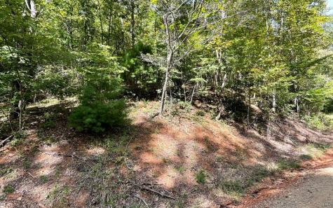 Lot 31 Nelson Ridge Hayesville NC 28904