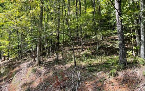 Lot 31 Nelson Ridge Hayesville NC 28904