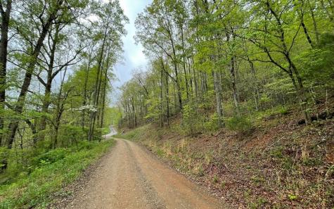 Lot 31 Nelson Ridge Hayesville NC 28904