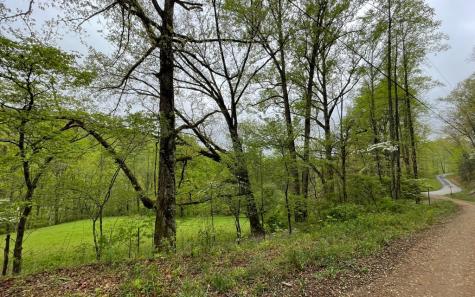 Lot 31 Nelson Ridge Hayesville NC 28904