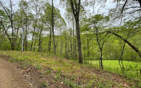 Lot 31 Nelson Ridge Hayesville NC 28904
