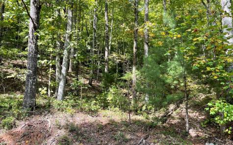 Lot 31 Nelson Ridge Hayesville NC 28904
