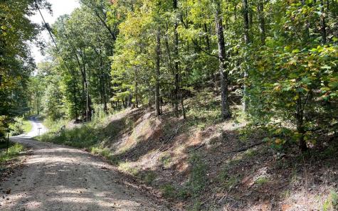 Lot 31 Nelson Ridge Hayesville NC 28904