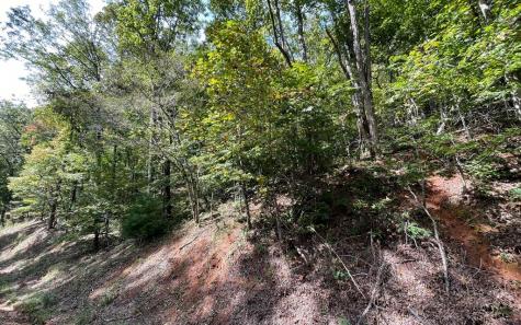 Lot 31 Nelson Ridge Hayesville NC 28904