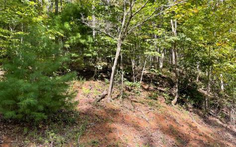 Lot 31 Nelson Ridge Hayesville NC 28904