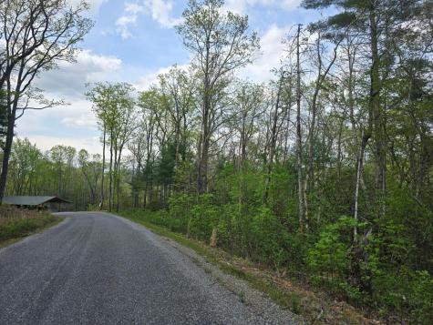Lot 10 Kennedys Court Blairsville GA 30512