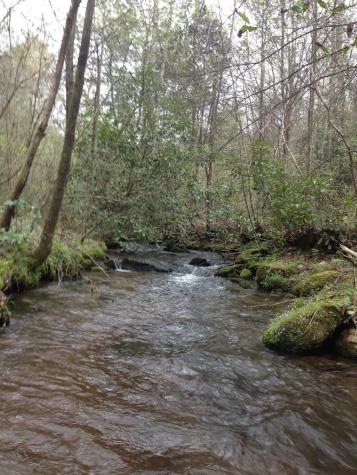 55 Greasey Creek Road Murphy NC 28906