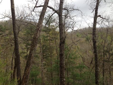 55 Greasey Creek Road Murphy NC 28906