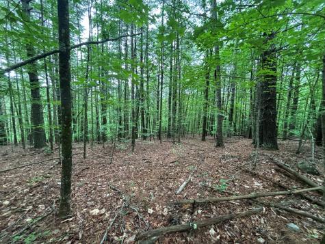 Lot 3 Horse Camp Drive Hayesville NC 28904