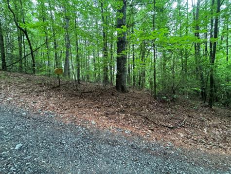Lot 3 Horse Camp Drive Hayesville NC 28904