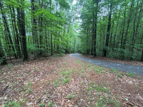 Lot 3 Horse Camp Drive Hayesville NC 28904