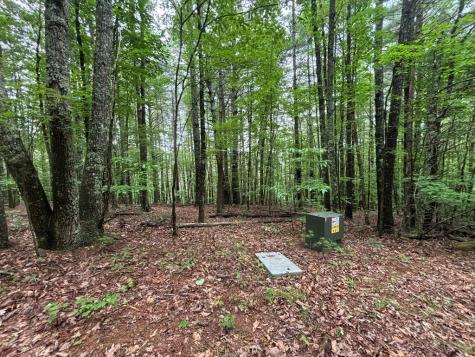 Lot 3 Horse Camp Drive Hayesville NC 28904