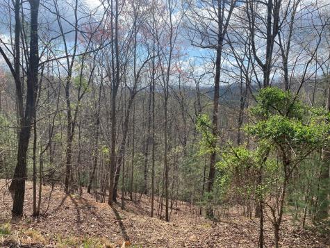 Lot 62 Jitterbug Lane Murphy NC 28906