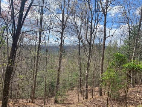 Lot 62 Jitterbug Lane Murphy NC 28906
