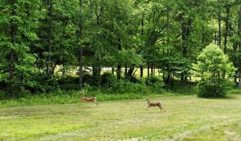 Tract 1 Timber Ridge Road Blairsville GA 30512