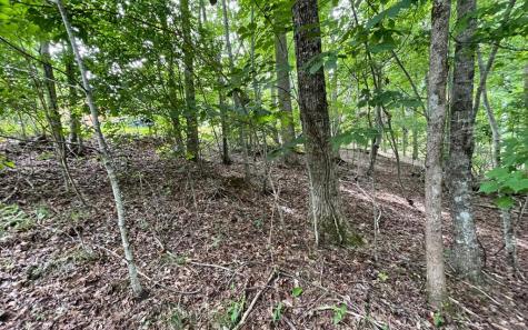 Lot 3 Morgan Creek Young Harris GA 30582