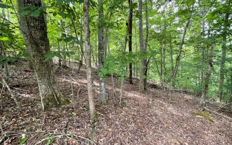 Lot 3 Morgan Creek Young Harris GA 30582