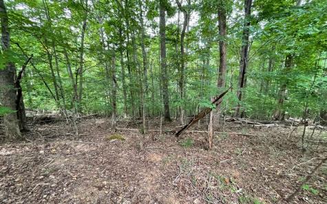 Lot 3 Morgan Creek Young Harris GA 30582