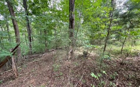 Lot 3 Morgan Creek Young Harris GA 30582