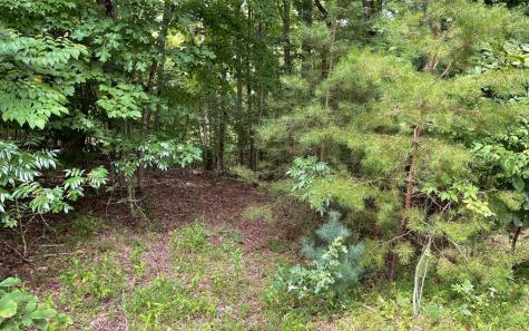 Lot 3 Morgan Creek Young Harris GA 30582