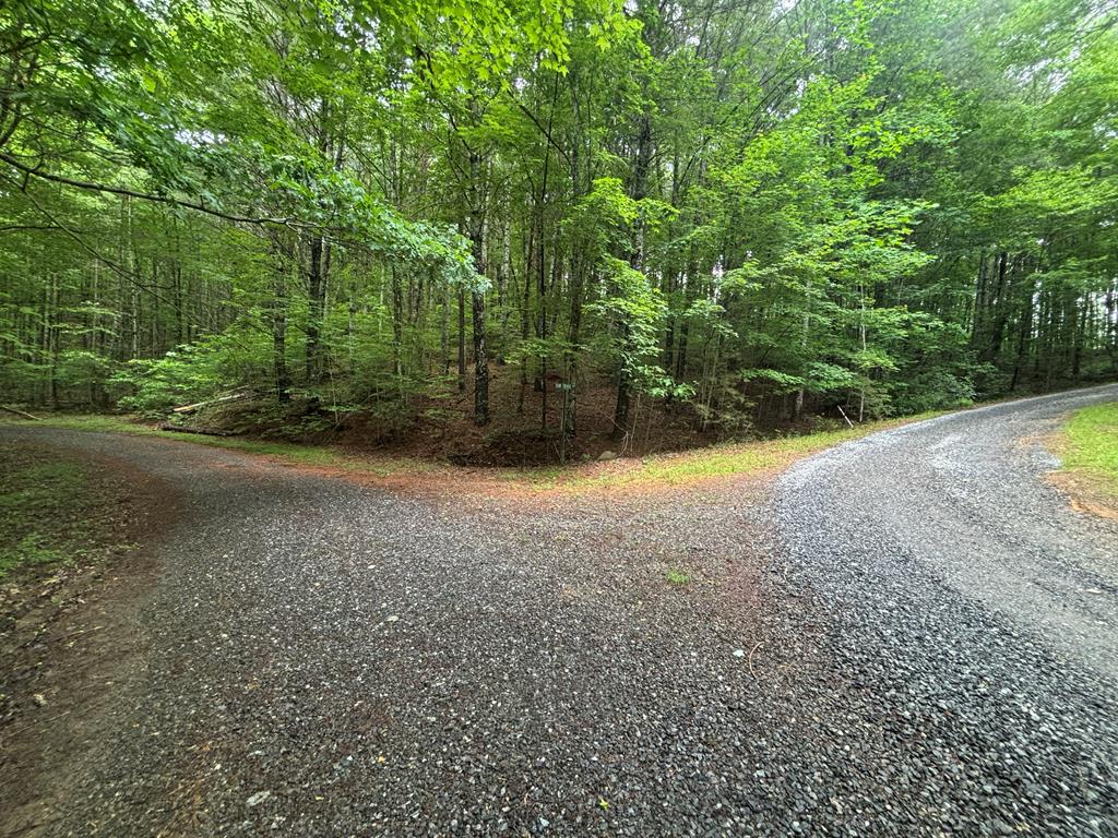 Lot 7 Horse Camp Drive Hayesville NC 28904