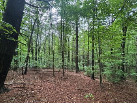 Lot 7 Horse Camp Drive Hayesville NC 28904