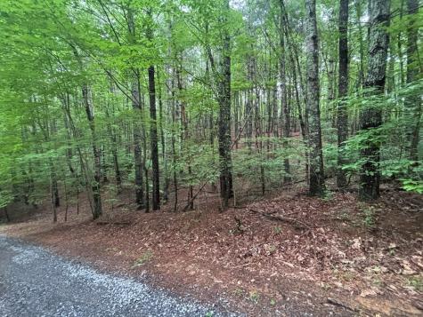 Lot 7 Horse Camp Drive Hayesville NC 28904