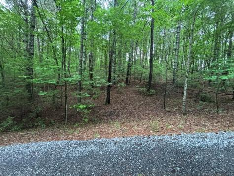 Lot 7 Horse Camp Drive Hayesville NC 28904