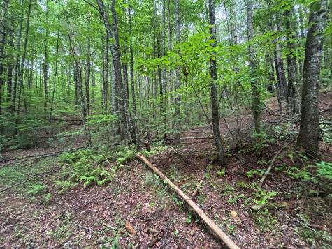 Lot 7 Horse Camp Drive Hayesville NC 28904