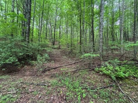 Lot 7 Horse Camp Drive Hayesville NC 28904