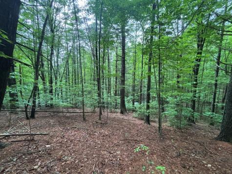 Lot 7 Horse Camp Drive Hayesville NC 28904
