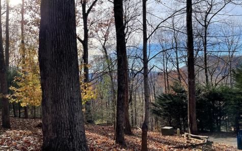 Lot 19 Bear Trail Hiawassee GA 30546