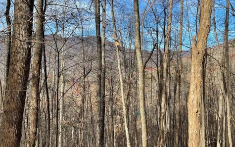 Lot 19 Bear Trail Hiawassee GA 30546