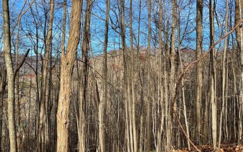 Lot 19 Bear Trail Hiawassee GA 30546