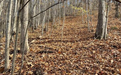 Lot 19 Bear Trail Hiawassee GA 30546