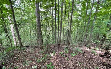Lot 19 Bear Trail Hiawassee GA 30546