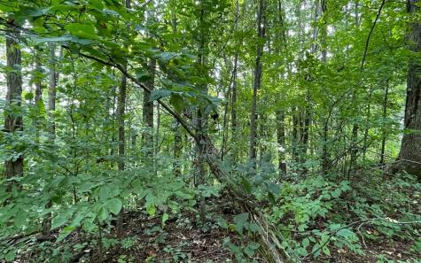Lot 19 Bear Trail Hiawassee GA 30546