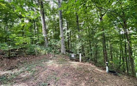 Lot 19 Bear Trail Hiawassee GA 30546