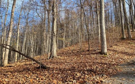 Lot 19 Bear Trail Hiawassee GA 30546