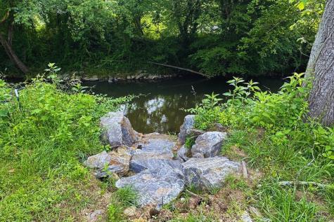 Lot 45 Prosperity Drive Warne NC 28904