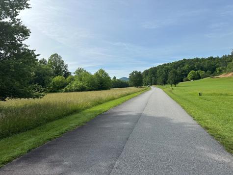 Lot 45 Prosperity Drive Warne NC 28904