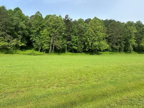 Lot 45 Prosperity Drive Warne NC 28904