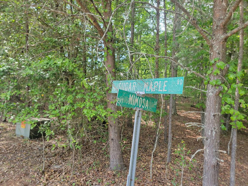 44 Sugar Maple Road Murphy NC 28906