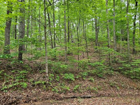 6 Heather Lane Murphy NC 28906